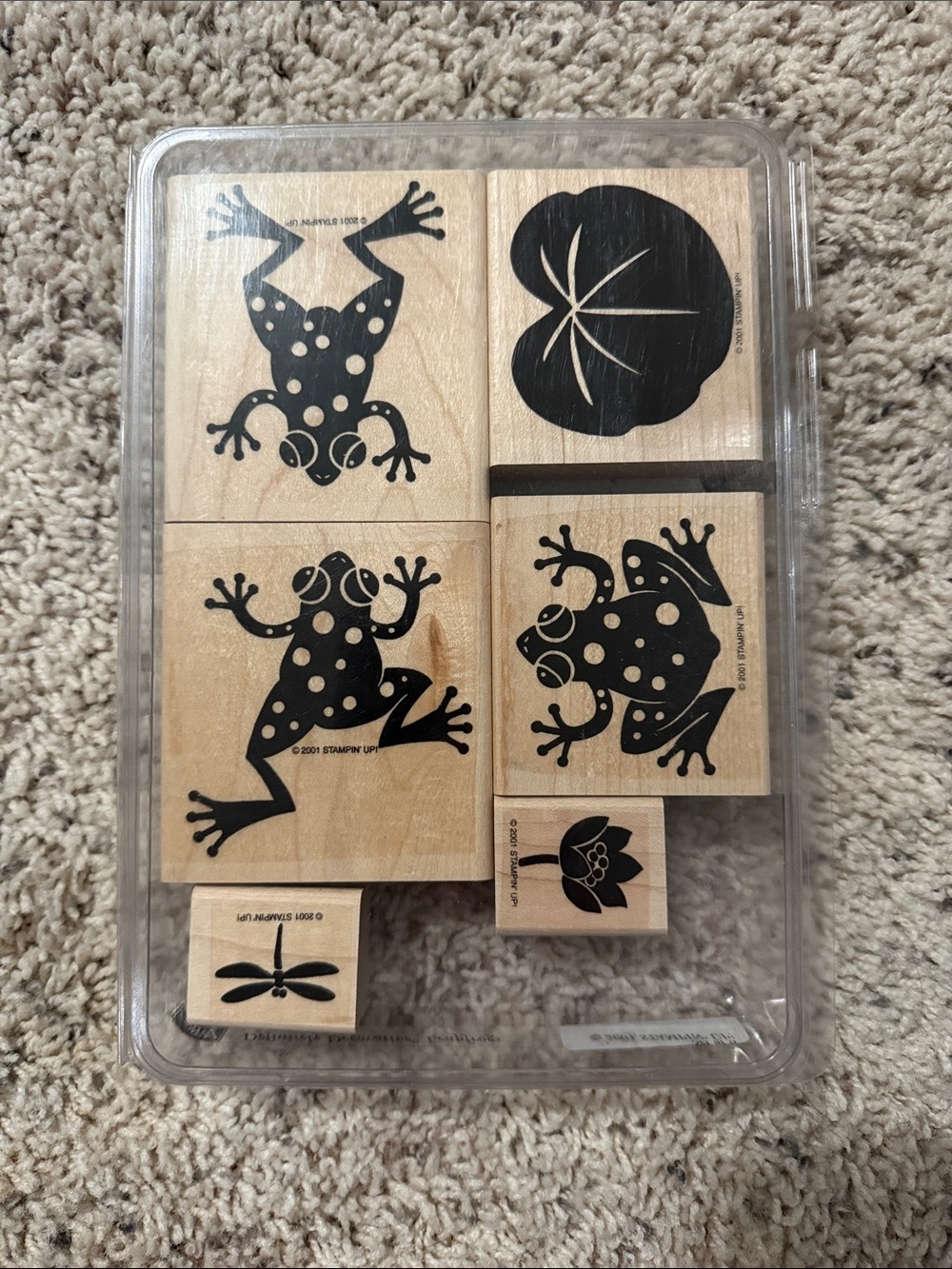 Stampin' Up! Definitely decorative leapfrog